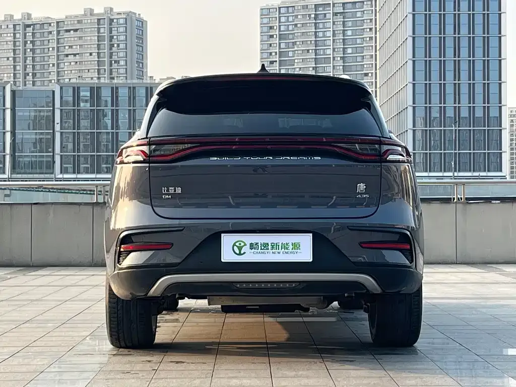 BYD Tang New Energy 2021 из CN, фото 9