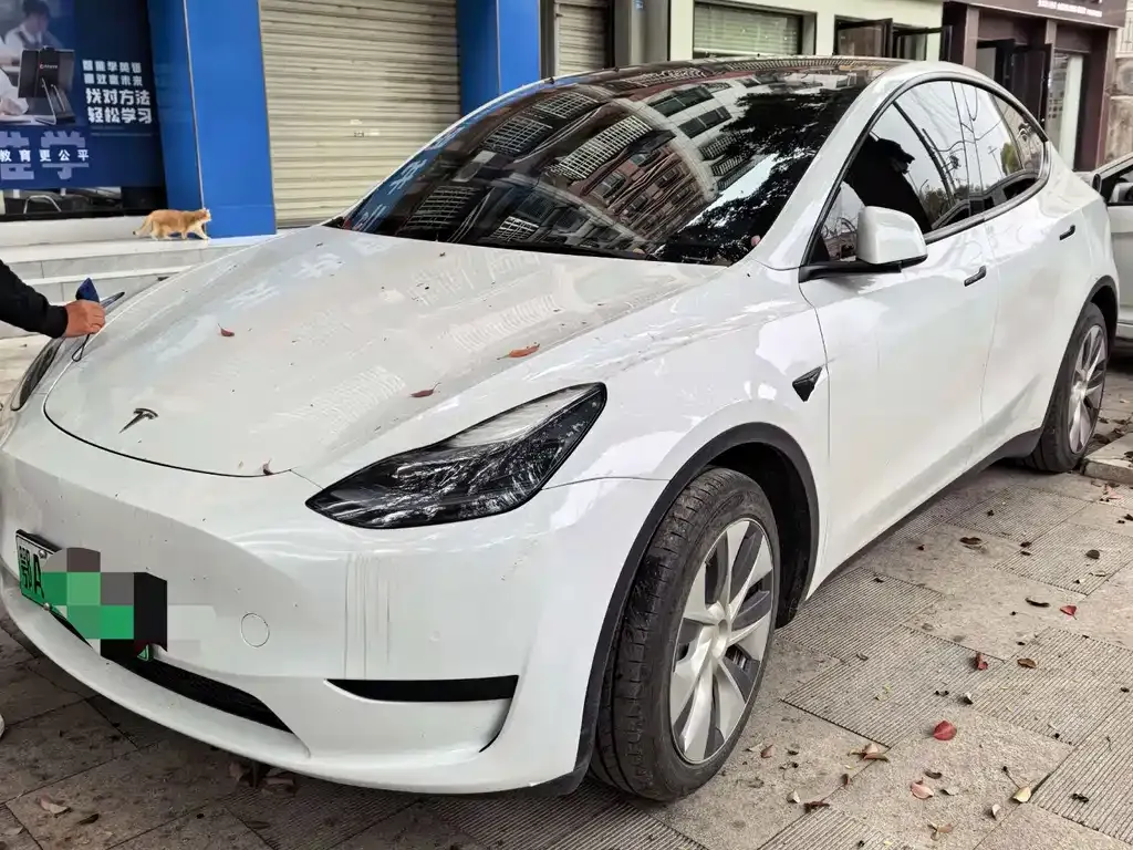 Tesla Model Y 2023 из CN, фото 1