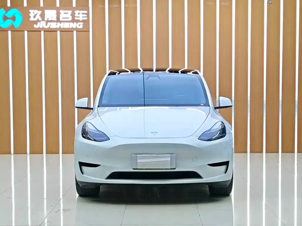 Tesla Model Y — фото 8