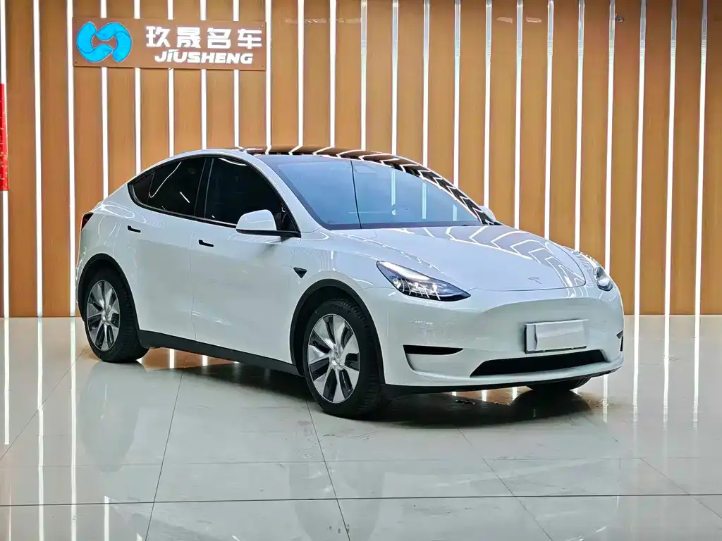 Tesla Model Y — фото 4