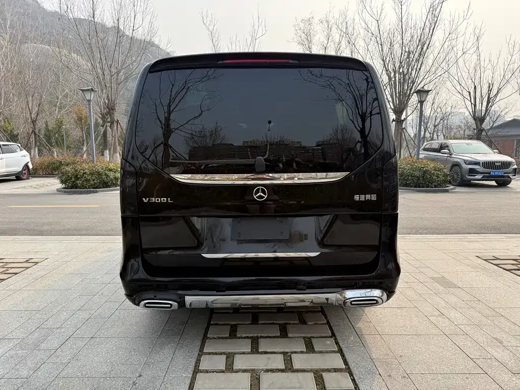 Mercedes-Benz V-Class 2022 из CN, фото 8