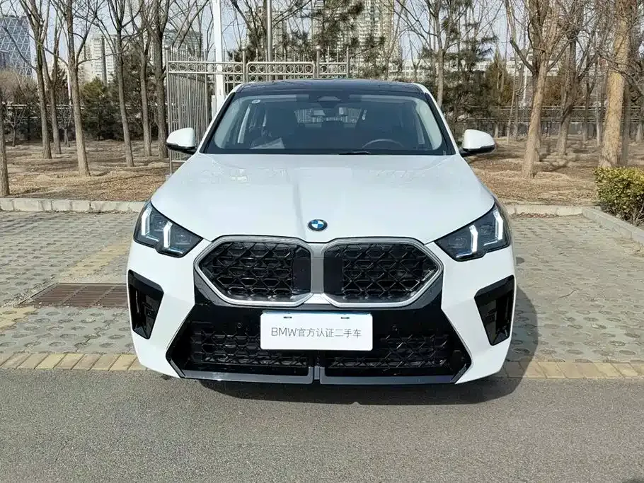 BMW X2 (Import) 2025 из CN, фото 8