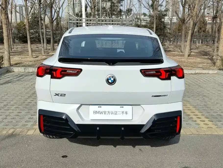 BMW X2 (Import) 2025 из CN, фото 7