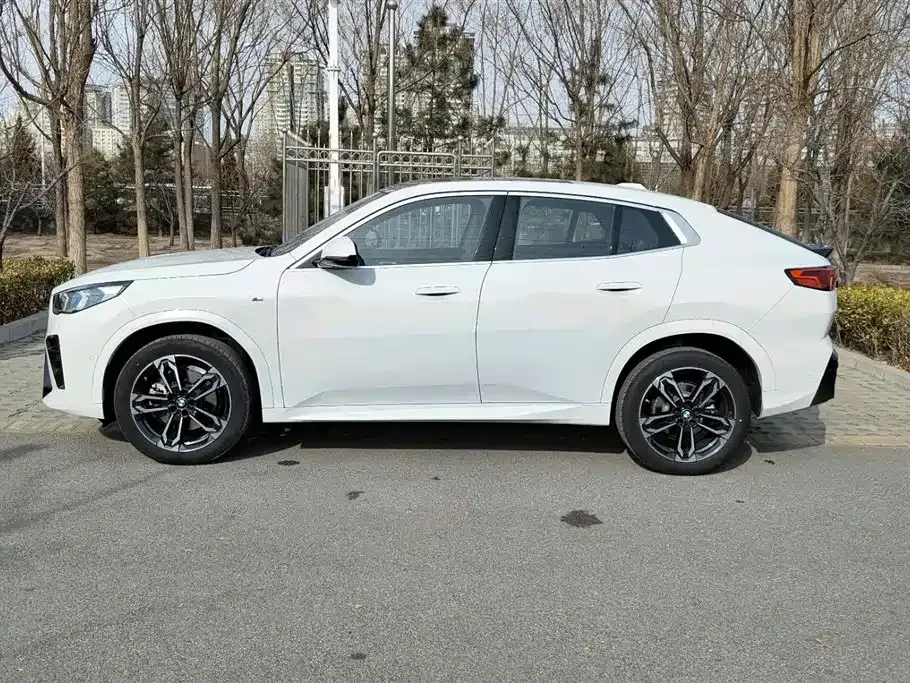 BMW X2 (Import) 2025 из CN, фото 9