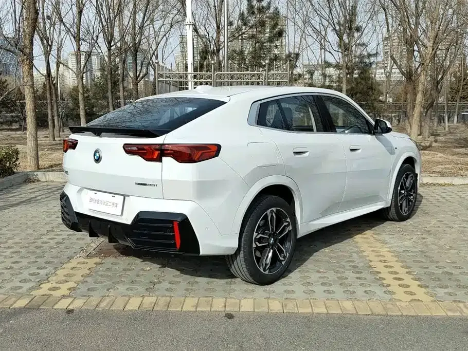 BMW X2 (Import) 2025 из CN, фото 6