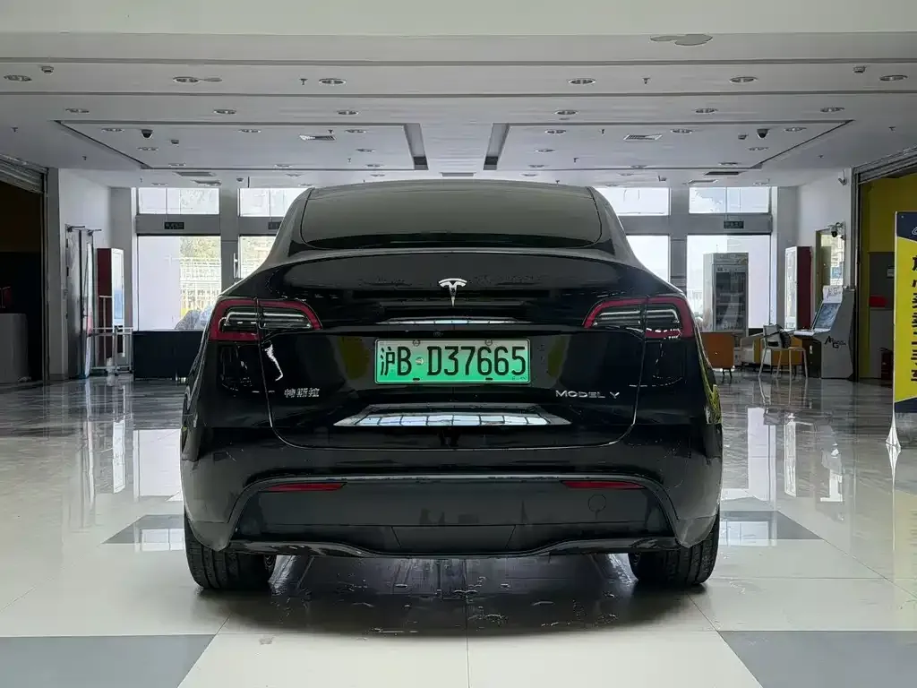 Tesla Model Y 2024 из CN, фото 2