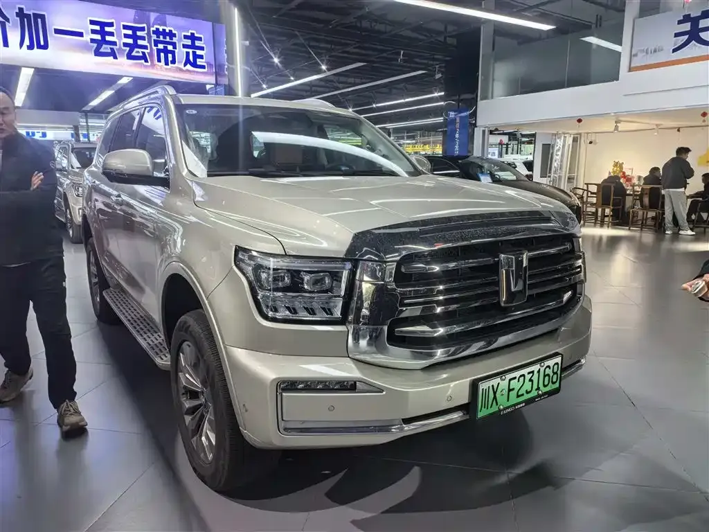 Tank 500 New Energy 2024 из CN, фото 3