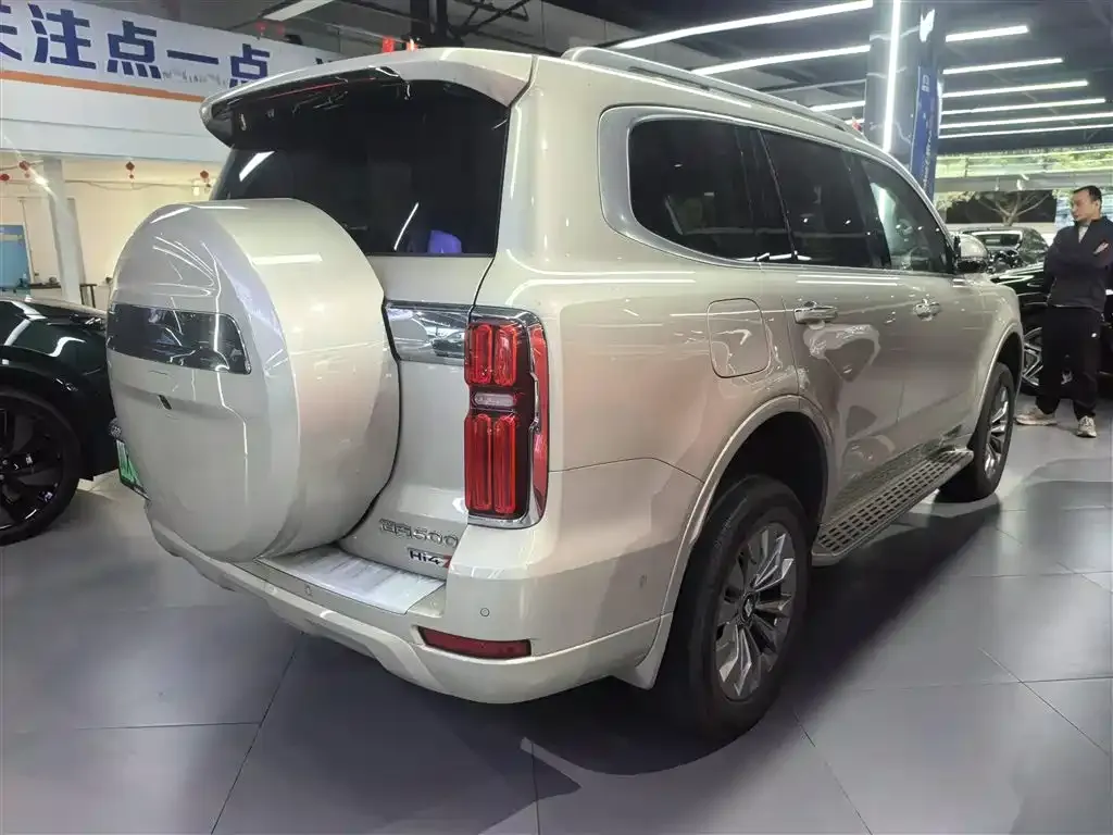 Tank 500 New Energy 2024 из CN, фото 6