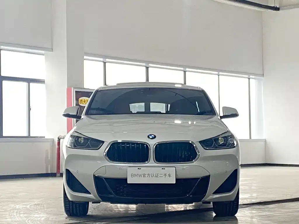 BMW X2 2021 из CN, фото 3