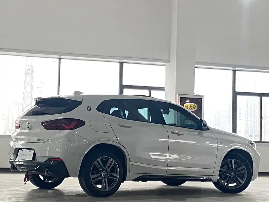 BMW X2 2021 из CN, фото 9