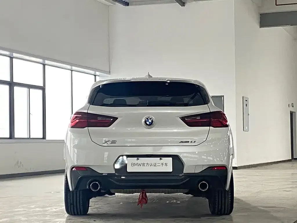 BMW X2 2021 из CN, фото 4