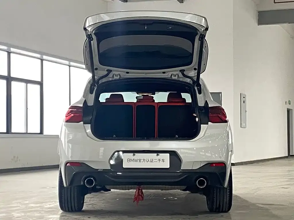 BMW X2 2021 из CN, фото 2