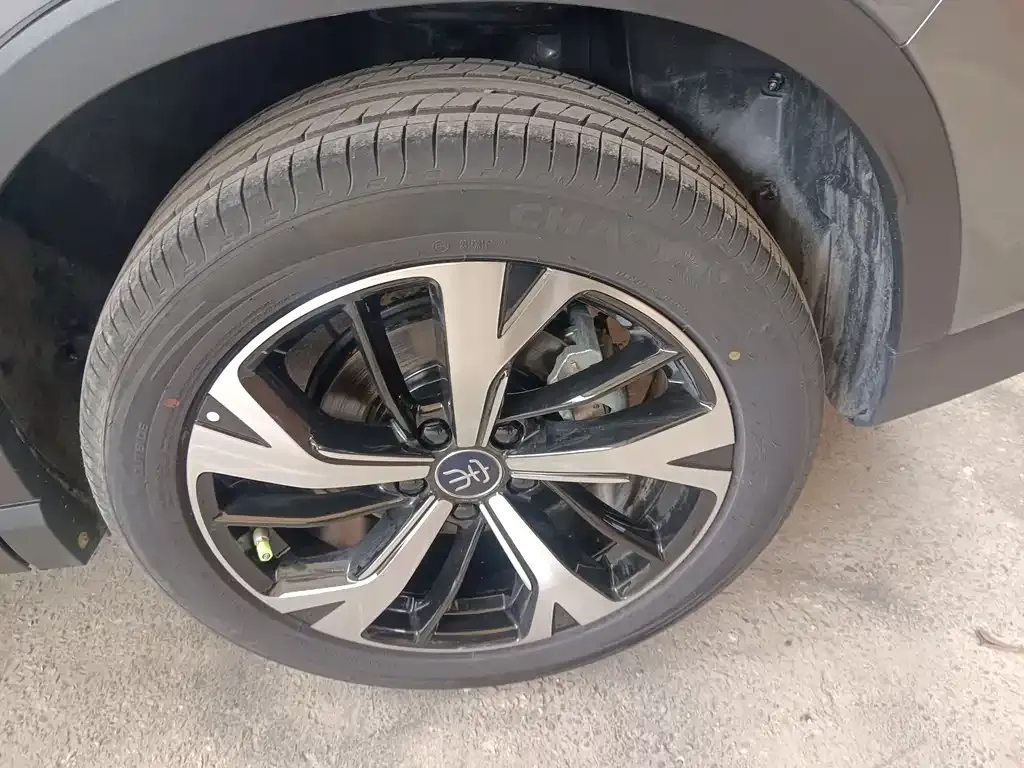 BYD Pro New Energy — фото 10