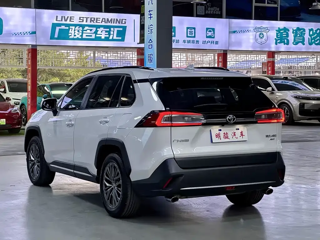 Toyota Wildlander 2023 из CN, фото 7