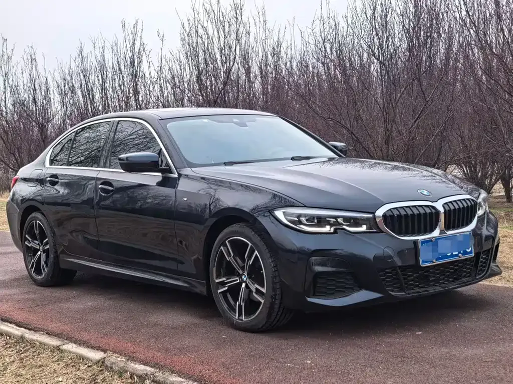 BMW 3 Series 2022 из CN, фото 6