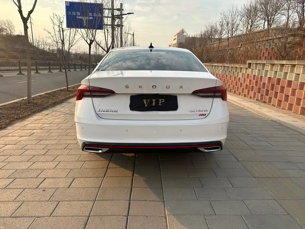 Skoda Octavia 2022 из CN, фото 6