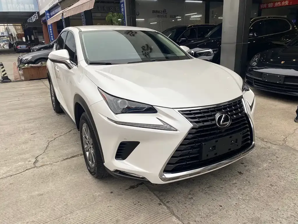 Lexus NX 2021 из CN, фото 9