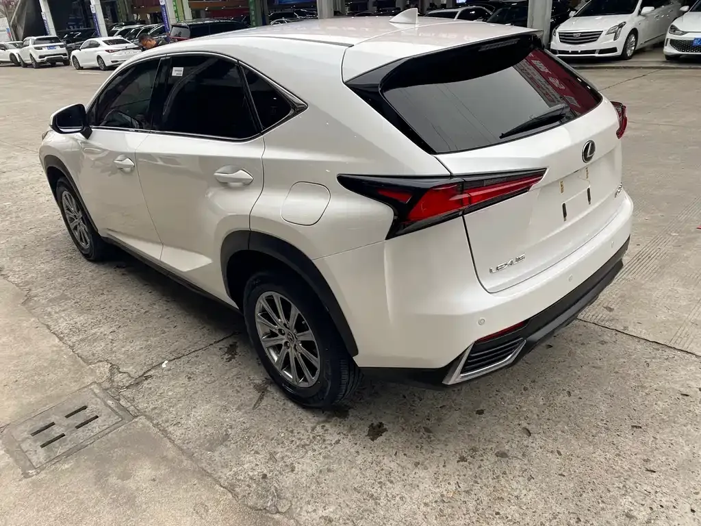 Lexus NX 2021 из CN, фото 8