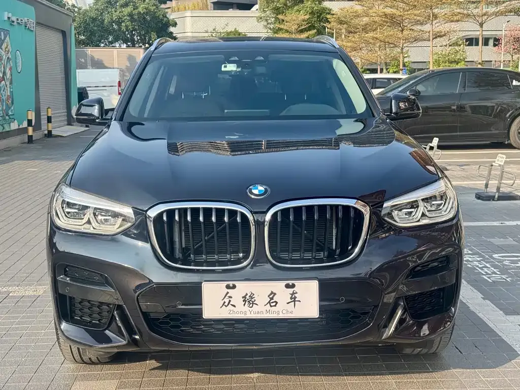 BMW X3 2021 из CN, фото 8