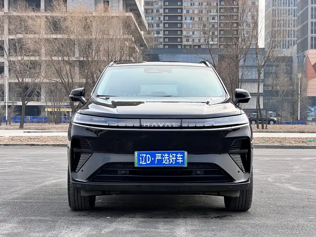 Haval Xiaolong MAX — фото 9