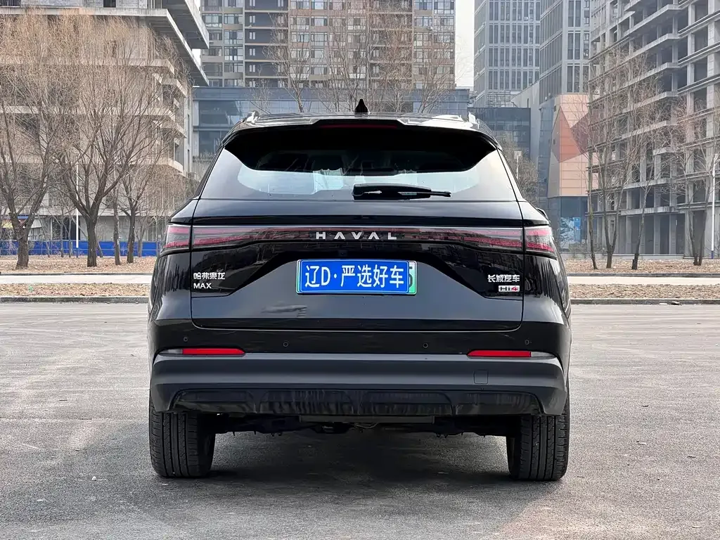 Haval Xiaolong MAX — фото 8