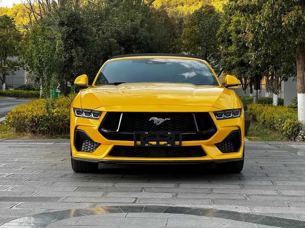 Ford Mustang 2025 из CN, фото 3