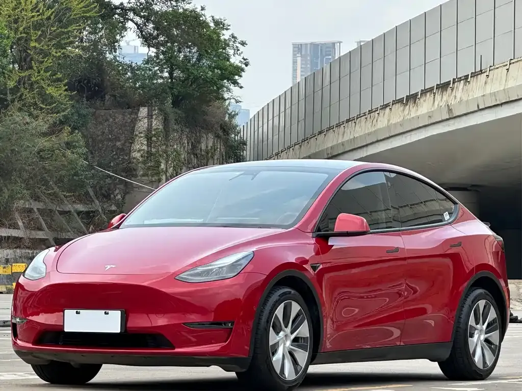 Tesla Model Y 2021 из CN, фото 1