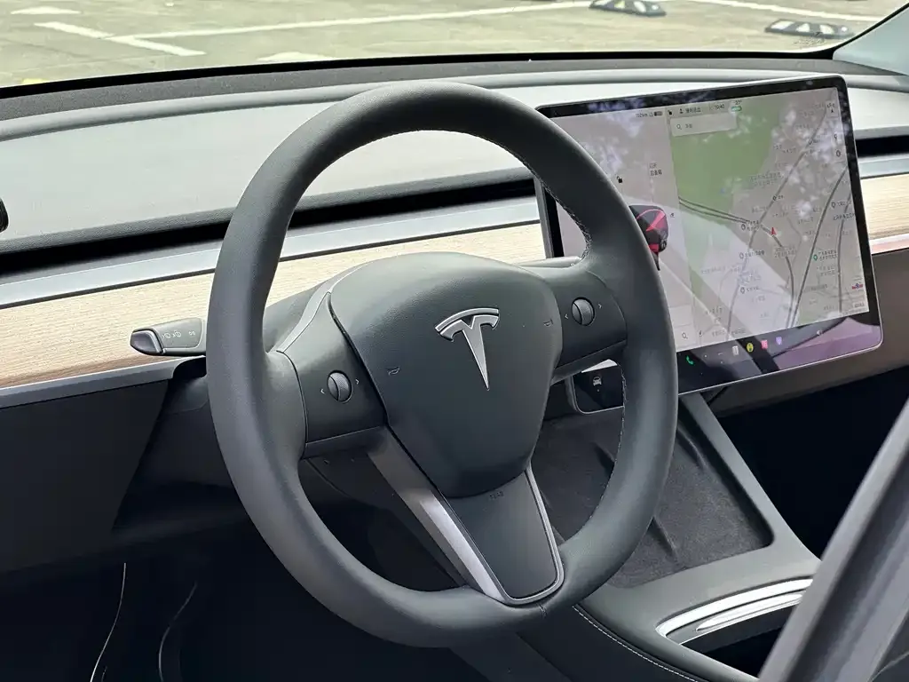 Tesla Model Y 2021 из CN, фото 2