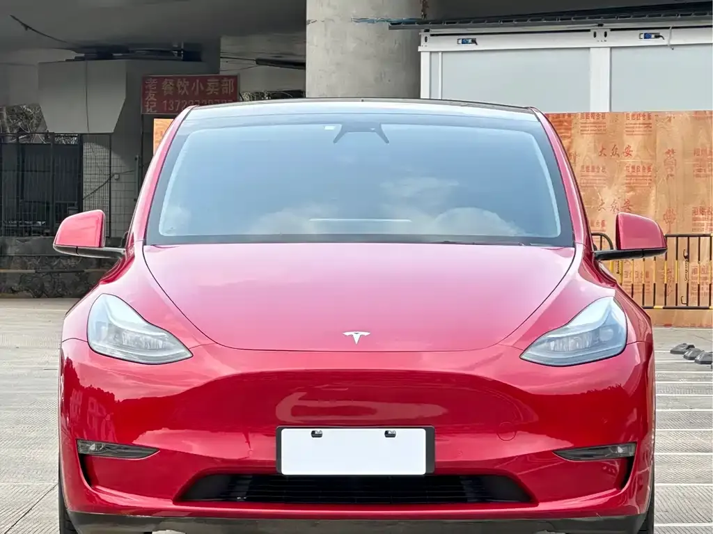 Tesla Model Y 2021 из CN, фото 7