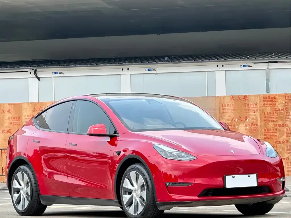 Tesla Model Y 2021 из CN, фото 10