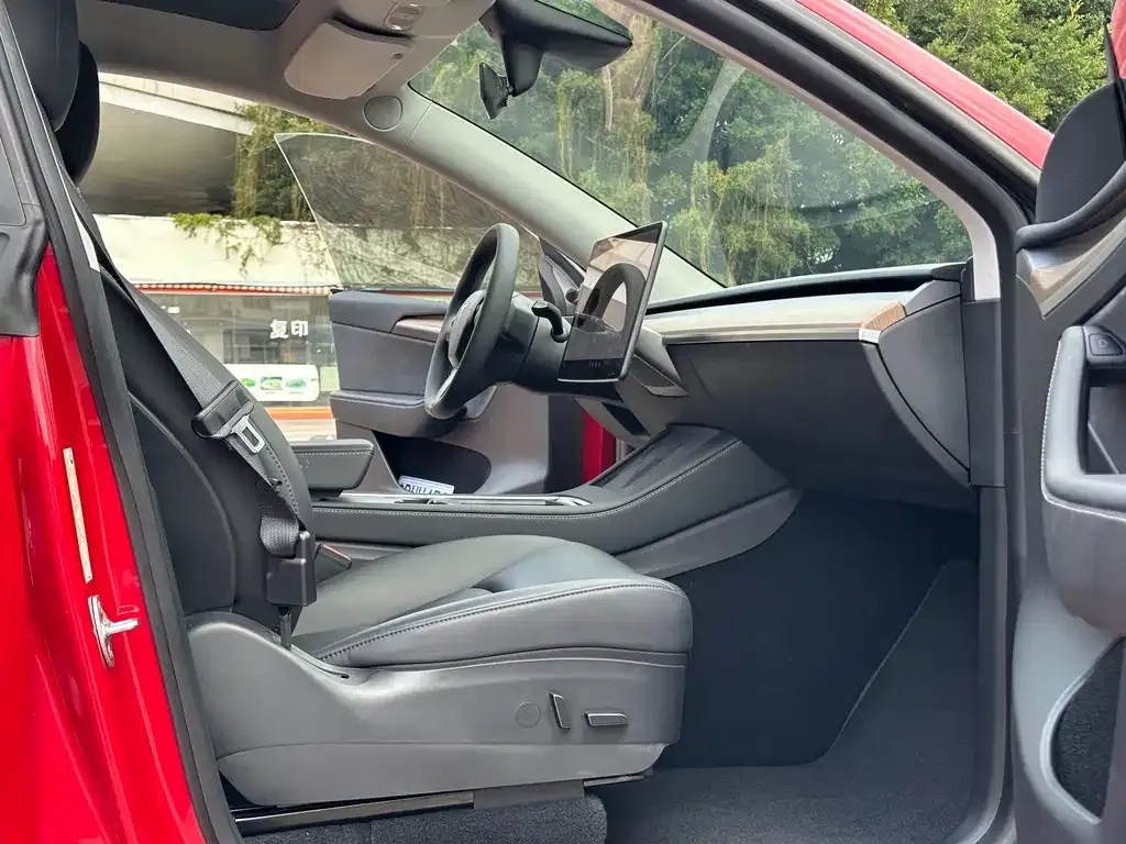 Tesla Model Y 2021 из CN, фото 5