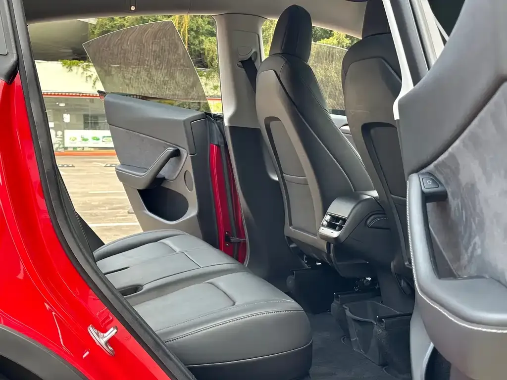 Tesla Model Y 2021 из CN, фото 6