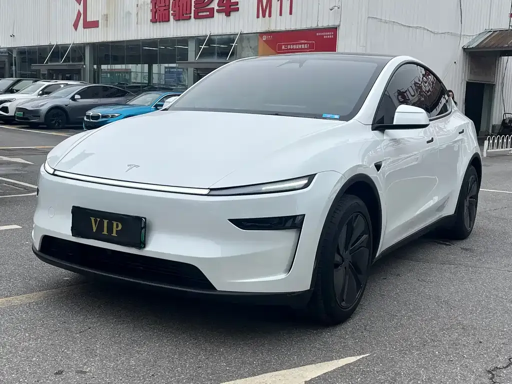 Tesla Model Y — фото 4