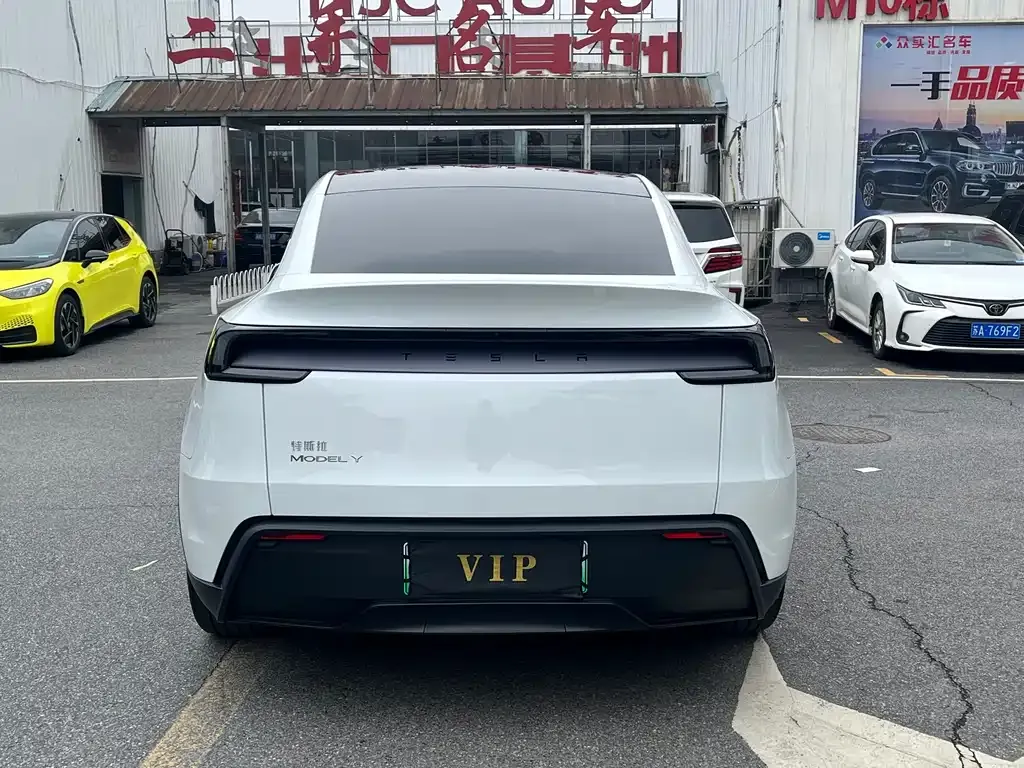 Tesla Model Y — фото 9