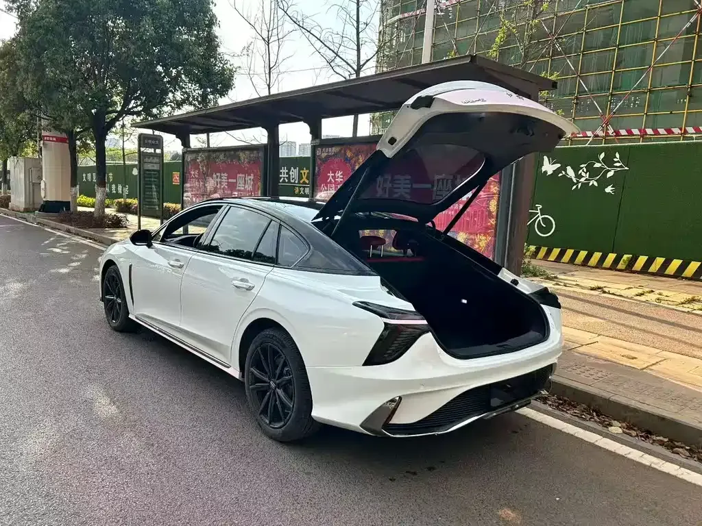 Hongqi H6 2024 из CN, фото 9
