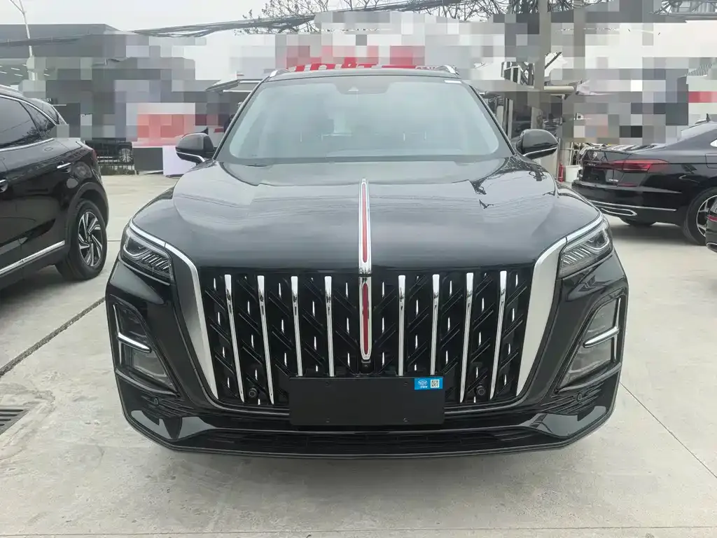Hongqi HS5 2025 из CN, фото 5