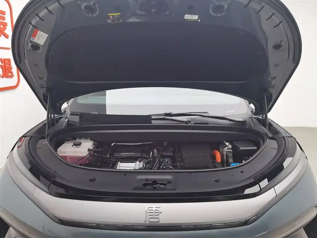BYD Tang L 2025 из CN, фото 8