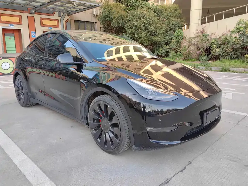 Tesla Model Y — фото 10