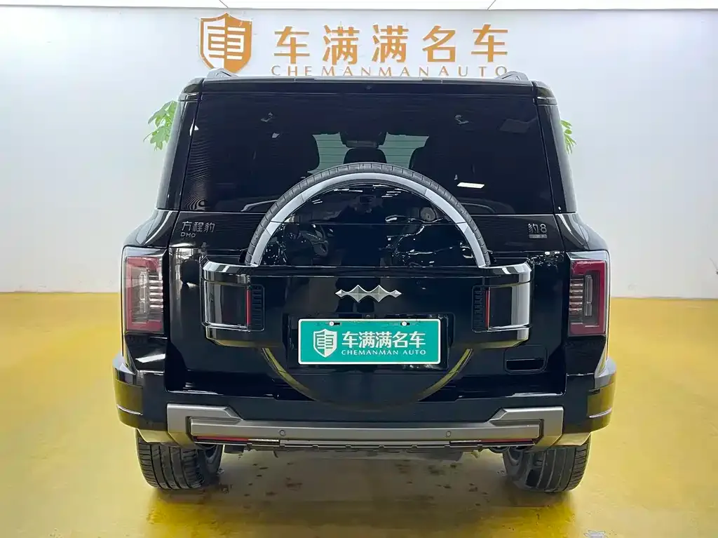 Fang Cheng Bao Leopard 8 2025 из CN, фото 4