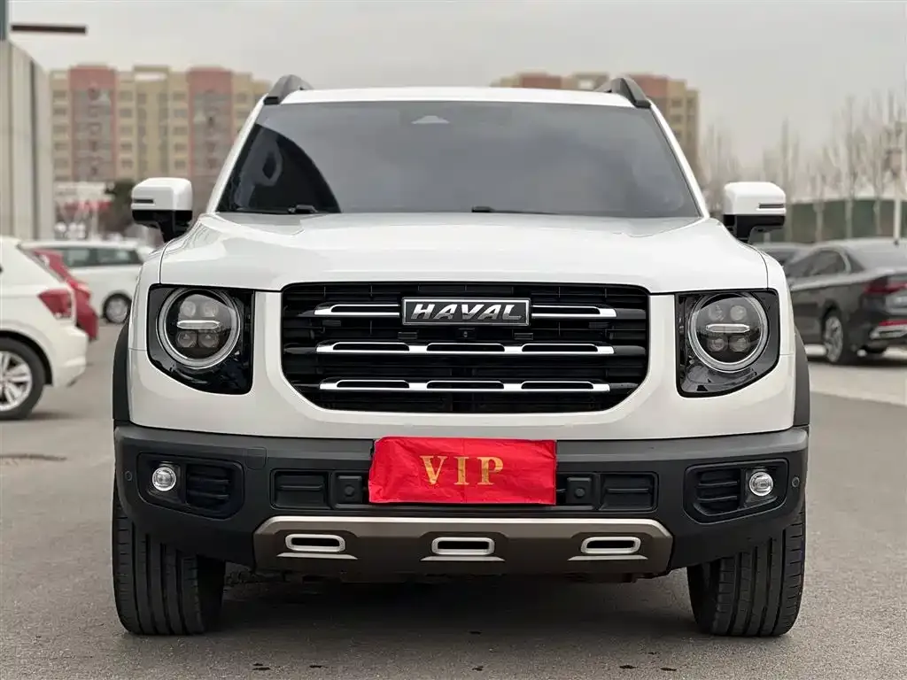Haval Big Dog 2021 из CN, фото 6