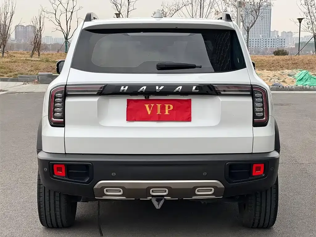 Haval Big Dog 2021 из CN, фото 5