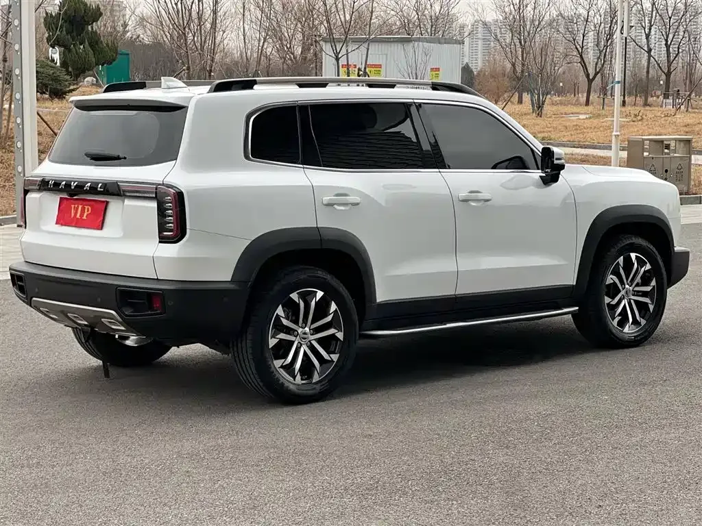 Haval Big Dog 2021 из CN, фото 10