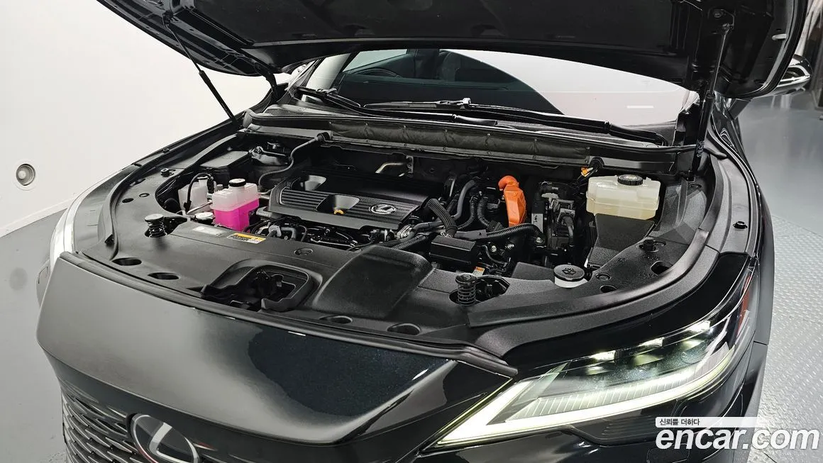 Lexus RX 2023 из KR, фото 2