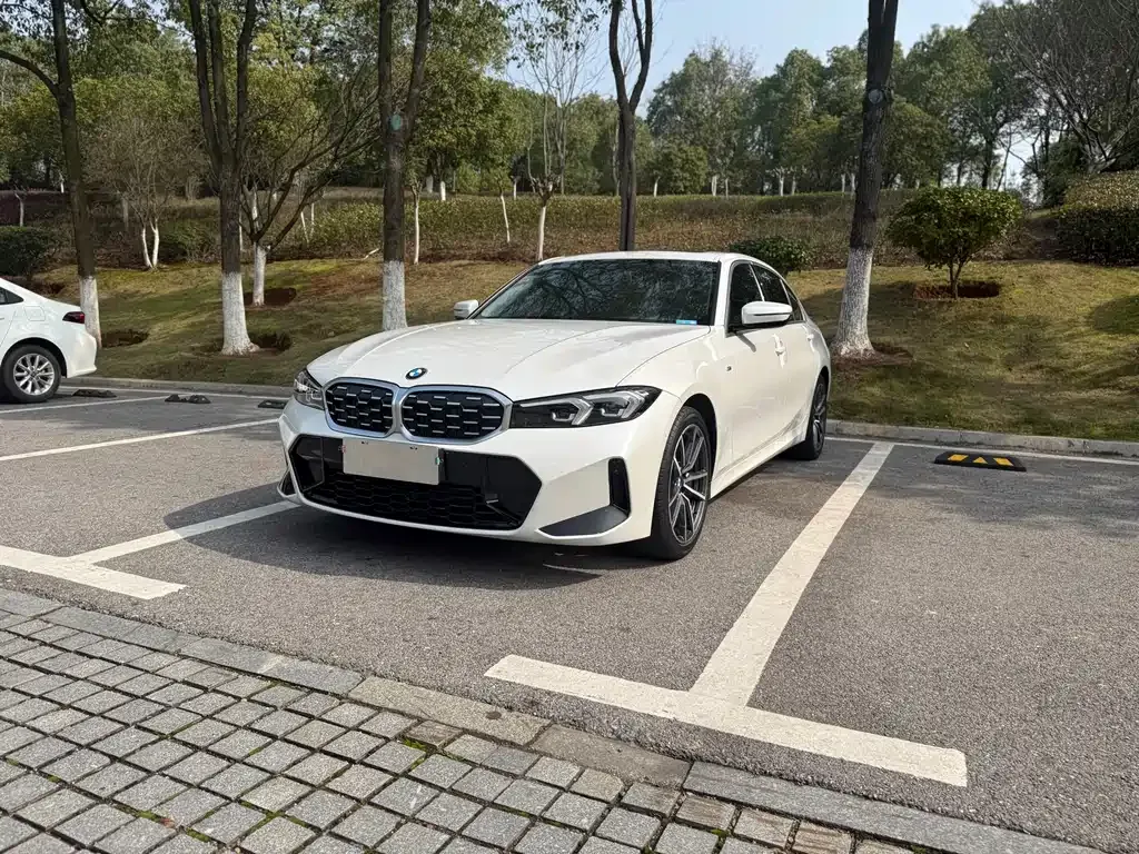 BMW 3 Series 2022 из CN, фото 9