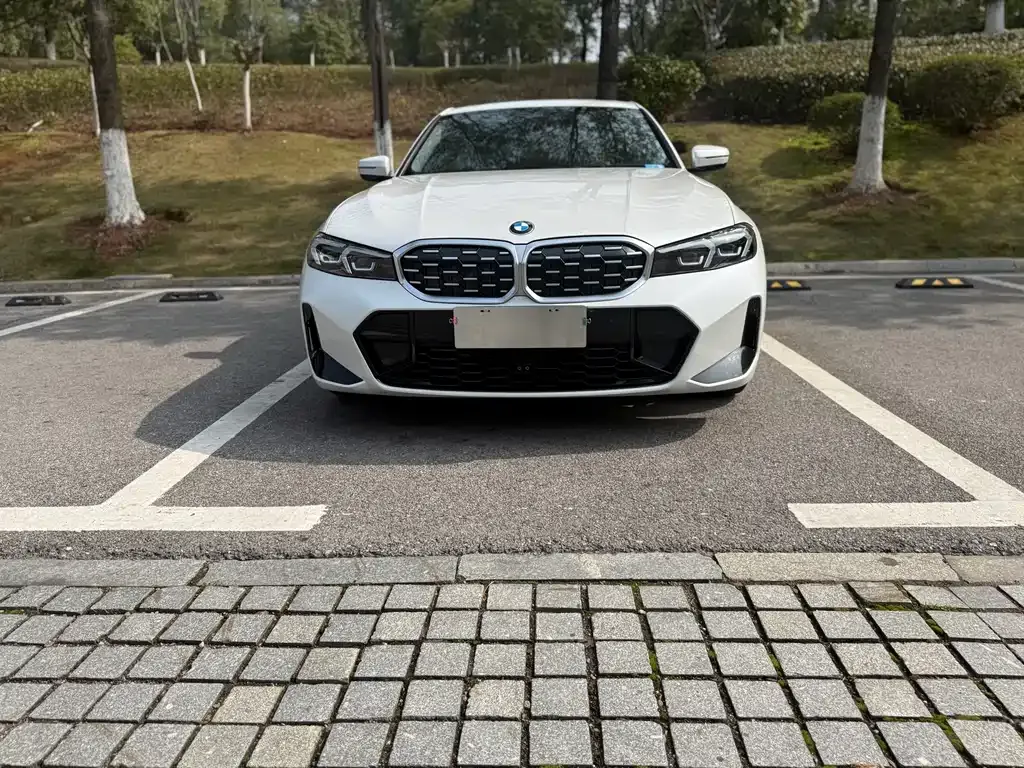 BMW 3 Series 2022 из CN, фото 8
