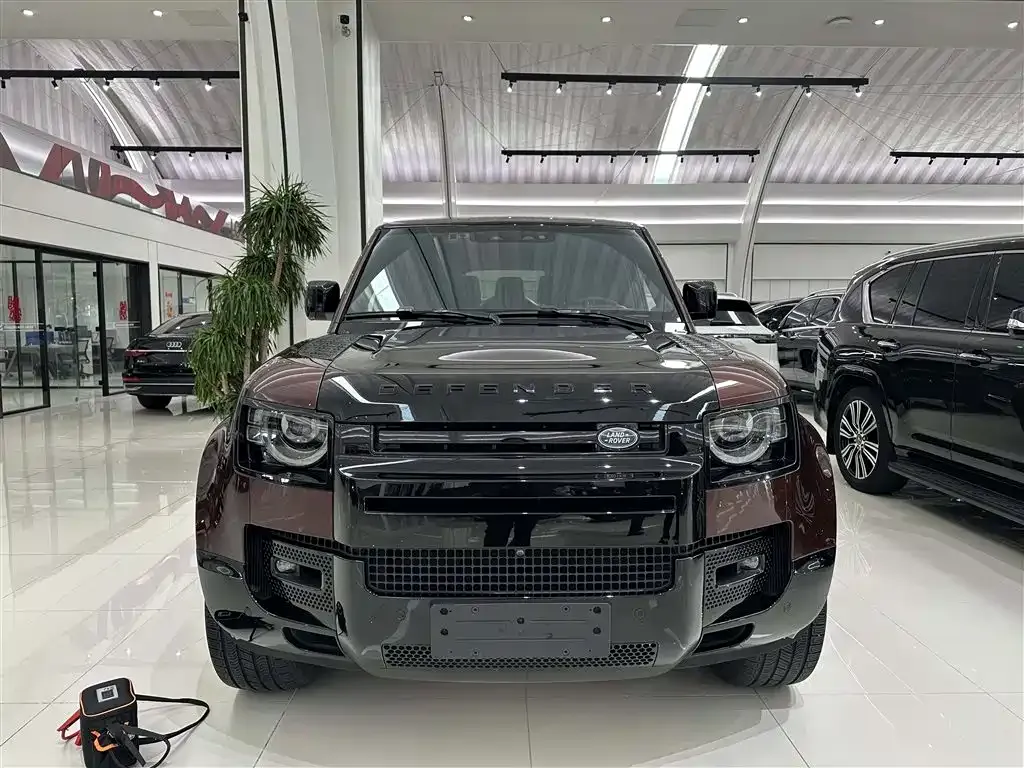 Land Rover Defender 2023 из CN, фото 7