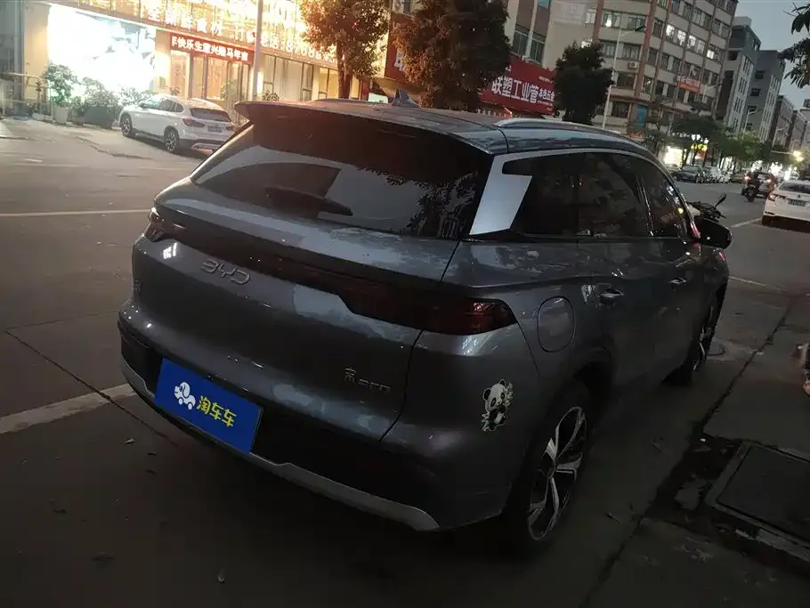 BYD Pro New Energy — фото 10