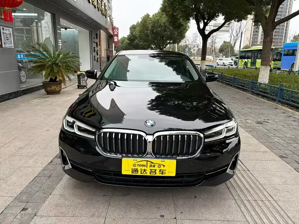 BMW 5 Series 2023 из CN, фото 8