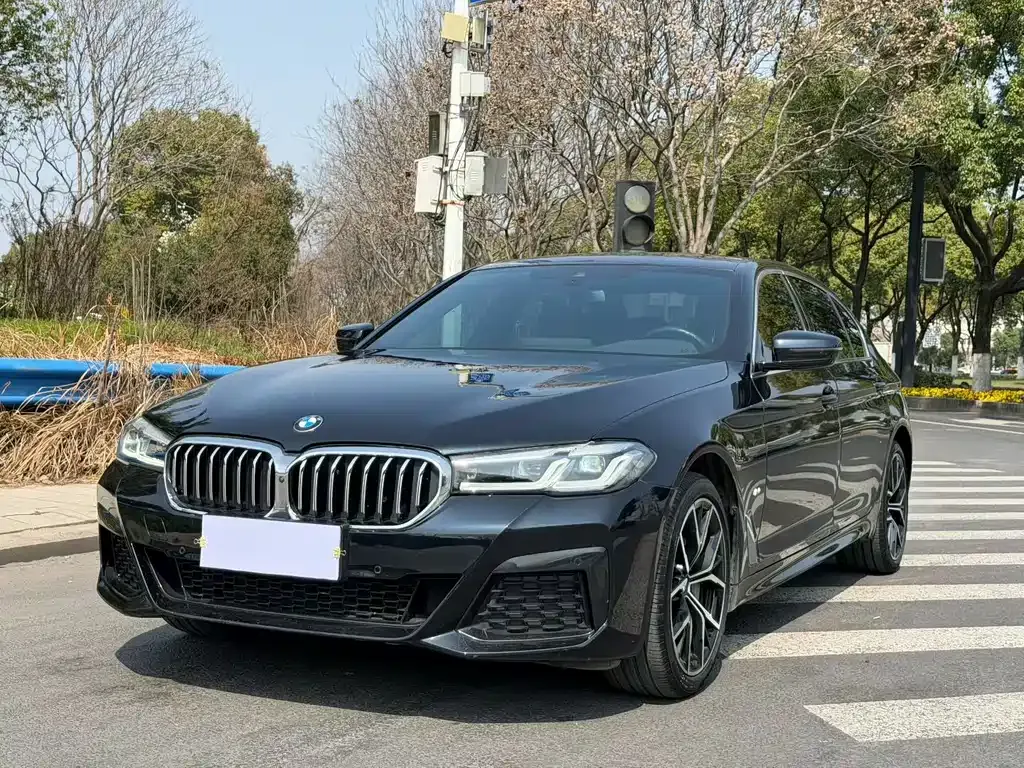 BMW 5 Series 2022 из CN, фото 1