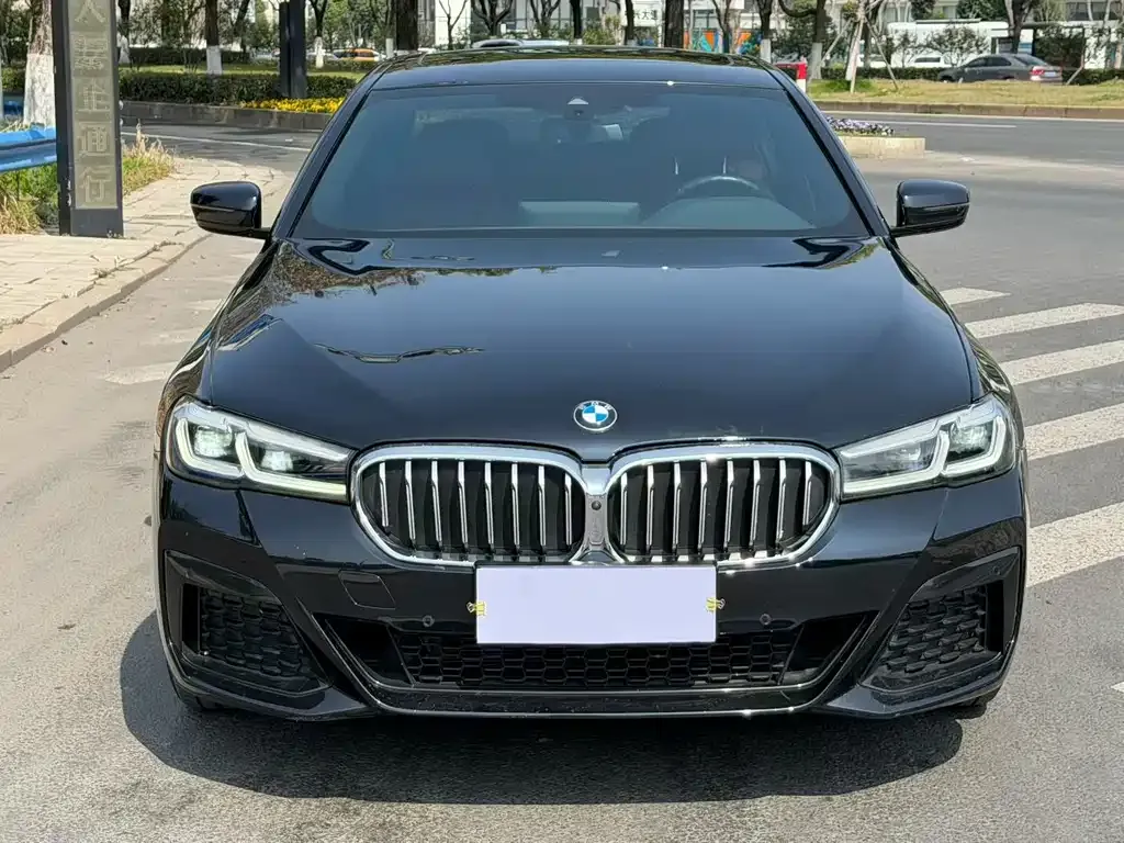 BMW 5 Series 2022 из CN, фото 7